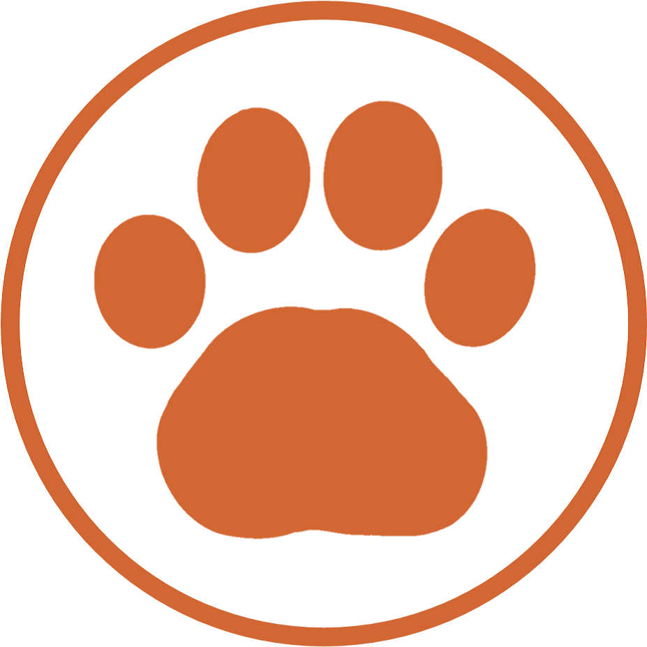 Chris’s profile image